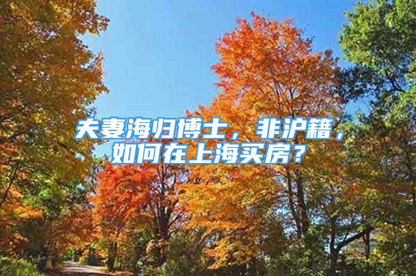 夫妻海歸博士，非滬籍，如何在上海買(mǎi)房？