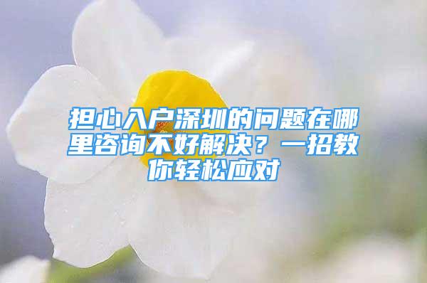 擔心入戶深圳的問題在哪里咨詢不好解決？一招教你輕松應對