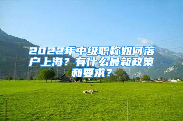 2022年中級(jí)職稱如何落戶上海？有什么最新政策和要求？