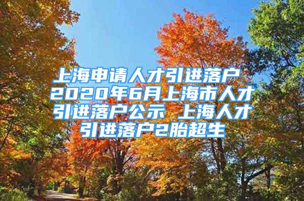 上海申請(qǐng)人才引進(jìn)落戶 2020年6月上海市人才引進(jìn)落戶公示 上海人才引進(jìn)落戶2胎超生