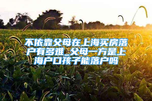 不依靠父母在上海買房落戶有多難_父母一方是上海戶口孩子能落戶嗎