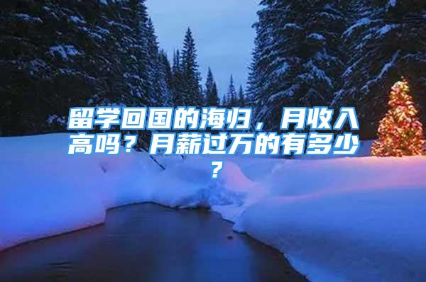 留學(xué)回國(guó)的海歸，月收入高嗎？月薪過(guò)萬(wàn)的有多少？