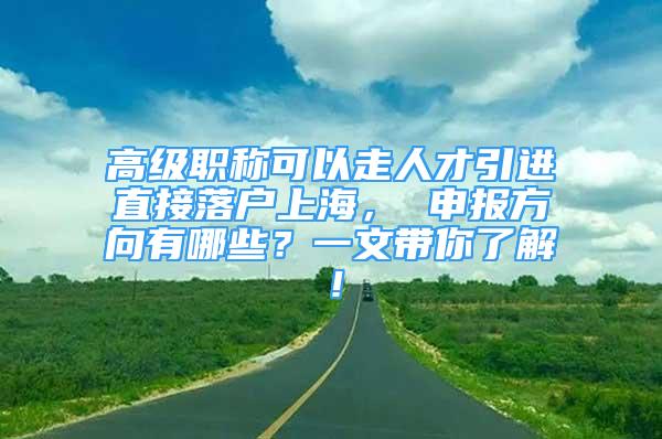 高級(jí)職稱可以走人才引進(jìn)直接落戶上海， 申報(bào)方向有哪些？一文帶你了解！