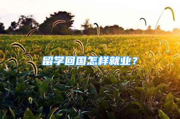 留學(xué)回國怎樣就業(yè)？