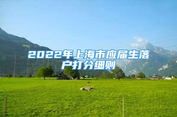 2022年上海市應(yīng)屆生落戶打分細(xì)則