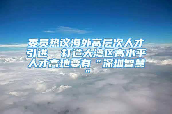 委員熱議海外高層次人才引進  打造大灣區(qū)高水平人才高地要有“深圳智慧”