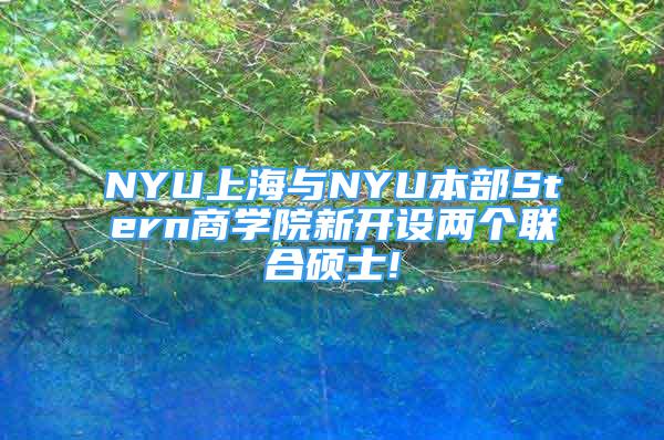 NYU上海與NYU本部Stern商學(xué)院新開設(shè)兩個(gè)聯(lián)合碩士!