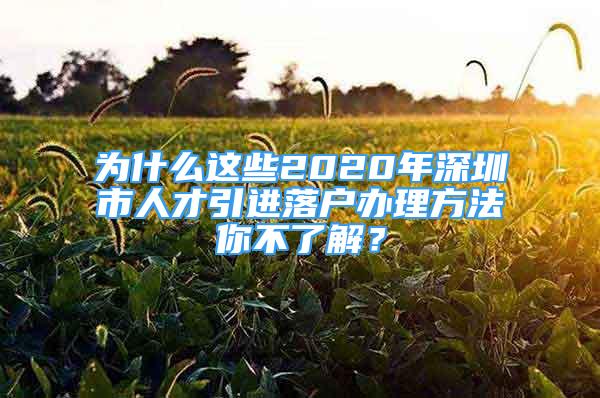 為什么這些2020年深圳市人才引進落戶辦理方法你不了解？