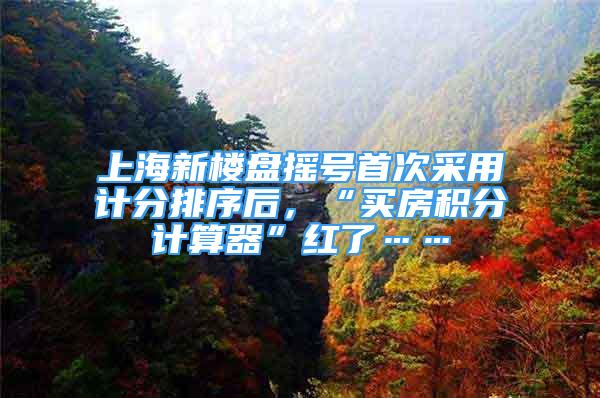 上海新樓盤搖號首次采用計分排序后，“買房積分計算器”紅了……