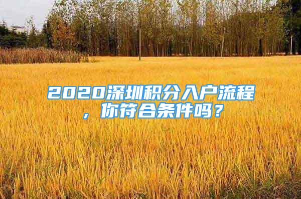 2020深圳積分入戶流程，你符合條件嗎？