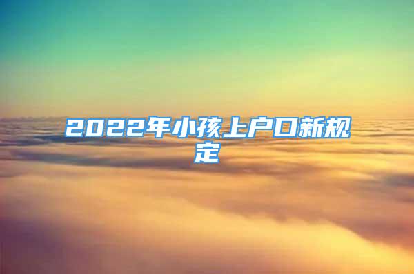 2022年小孩上戶口新規(guī)定