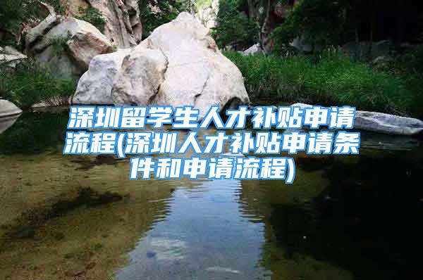 深圳留學(xué)生人才補(bǔ)貼申請(qǐng)流程(深圳人才補(bǔ)貼申請(qǐng)條件和申請(qǐng)流程)