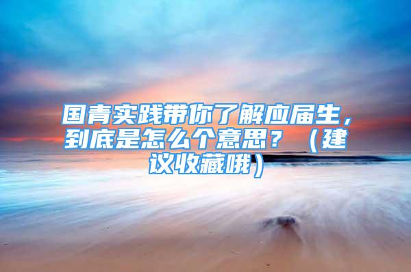 國青實踐帶你了解應屆生，到底是怎么個意思？（建議收藏哦）