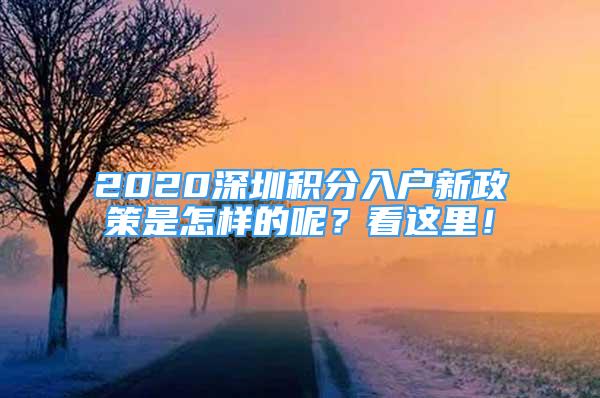 2020深圳積分入戶新政策是怎樣的呢？看這里！