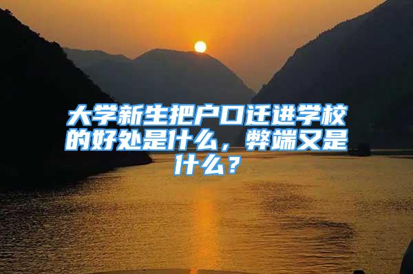 大學(xué)新生把戶口遷進(jìn)學(xué)校的好處是什么，弊端又是什么？