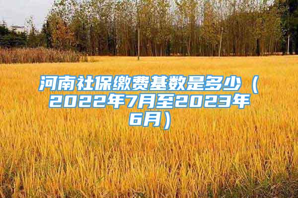 河南社保繳費(fèi)基數(shù)是多少（2022年7月至2023年6月）