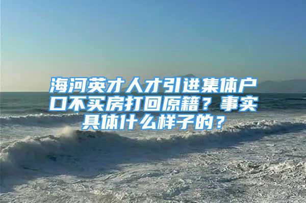 海河英才人才引進(jìn)集體戶口不買房打回原籍？事實(shí)具體什么樣子的？