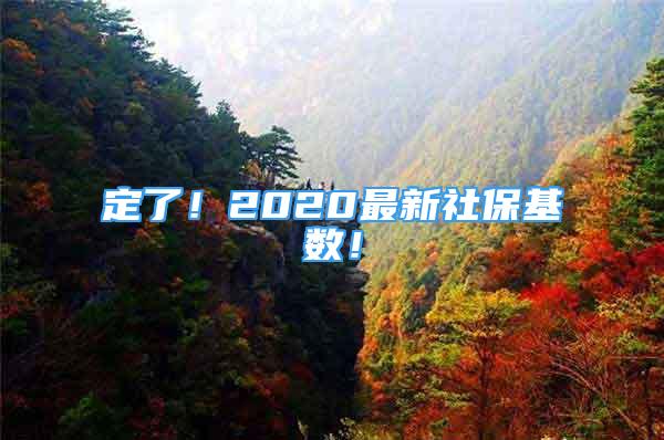 定了！2020最新社?；鶖?shù)！