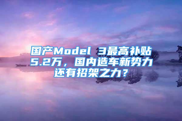 國產(chǎn)Model 3最高補(bǔ)貼5.2萬，國內(nèi)造車新勢力還有招架之力？