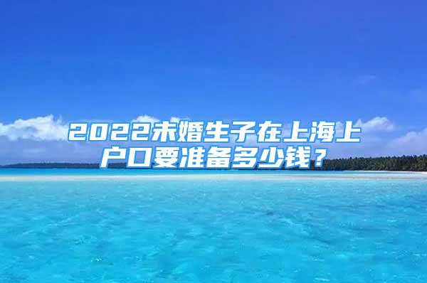 2022未婚生子在上海上戶口要準(zhǔn)備多少錢？