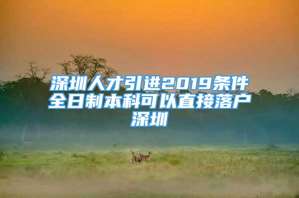 深圳人才引進(jìn)2019條件全日制本科可以直接落戶深圳