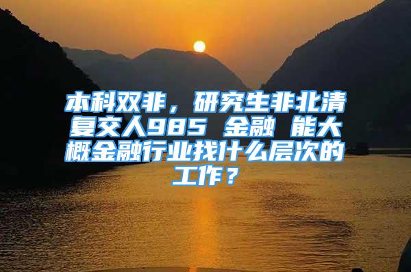 本科雙非，研究生非北清復交人985 金融 能大概金融行業(yè)找什么層次的工作？