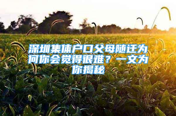 深圳集體戶口父母隨遷為何你會覺得很難？一文為你揭秘