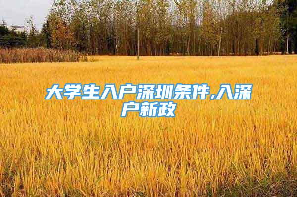 大學(xué)生入戶深圳條件,入深戶新政