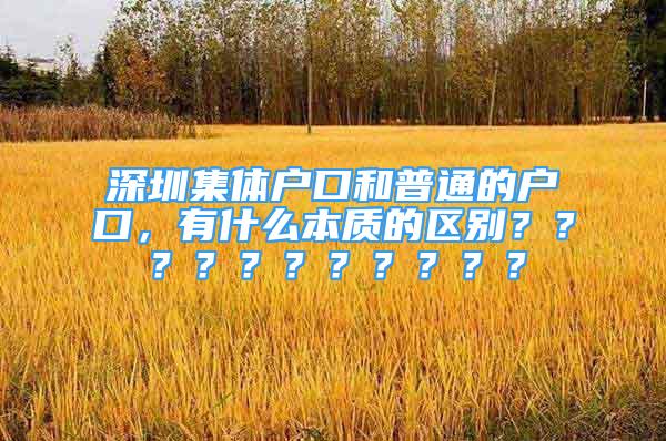 深圳集體戶口和普通的戶口，有什么本質(zhì)的區(qū)別？？？？？？？？？？？