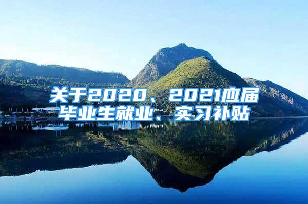 關(guān)于2020、2021應(yīng)屆畢業(yè)生就業(yè)、實習(xí)補貼