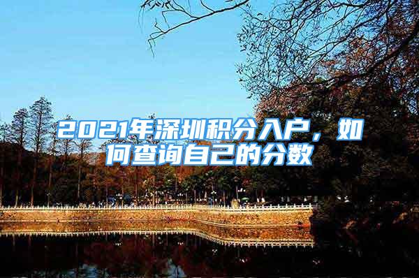 2021年深圳積分入戶，如何查詢自己的分?jǐn)?shù)