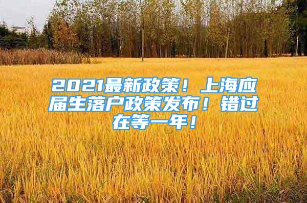 2021最新政策！上海應(yīng)屆生落戶政策發(fā)布！錯(cuò)過(guò)在等一年！