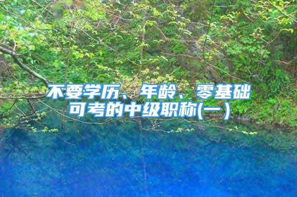 不要學(xué)歷、年齡、零基礎(chǔ)可考的中級(jí)職稱(一）