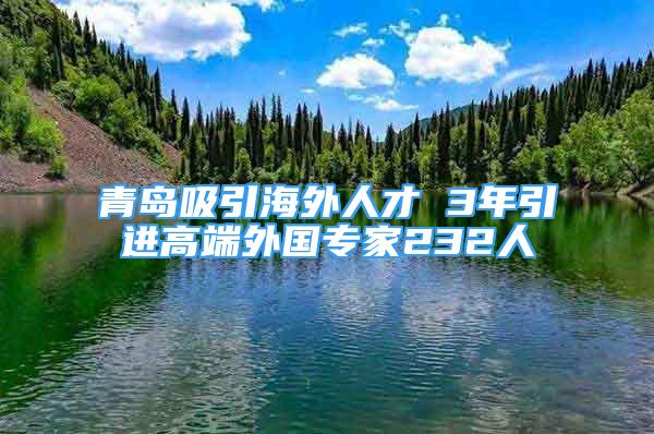 青島吸引海外人才 3年引進高端外國專家232人