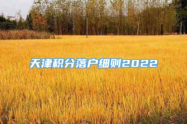 天津積分落戶細(xì)則2022