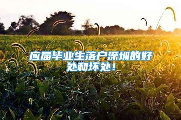 應(yīng)屆畢業(yè)生落戶深圳的好處和壞處！