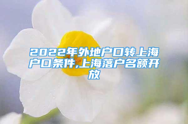 2022年外地戶口轉上海戶口條件,上海落戶名額開放