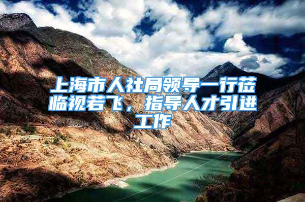 上海市人社局領導一行蒞臨視若飛，指導人才引進工作