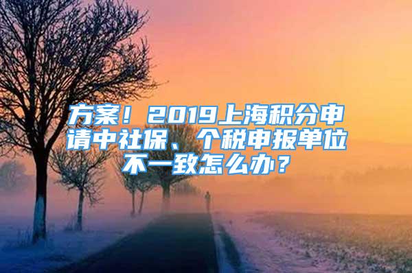 方案！2019上海積分申請(qǐng)中社保、個(gè)稅申報(bào)單位不一致怎么辦？