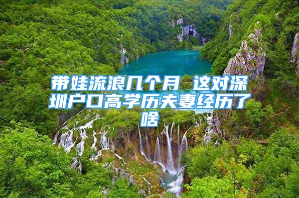 帶娃流浪幾個月 這對深圳戶口高學(xué)歷夫妻經(jīng)歷了啥