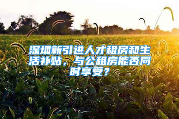 深圳新引進人才租房和生活補貼，與公租房能否同時享受？