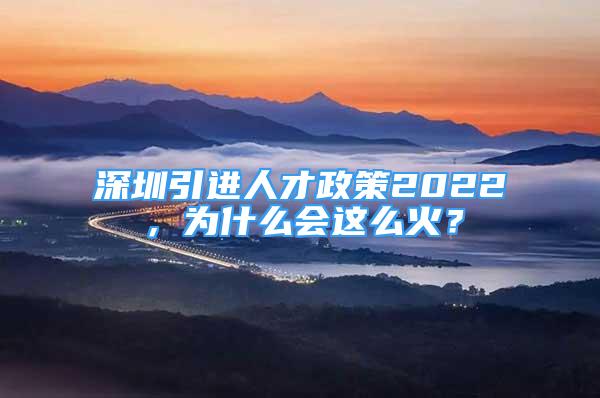 深圳引進人才政策2022，為什么會這么火？