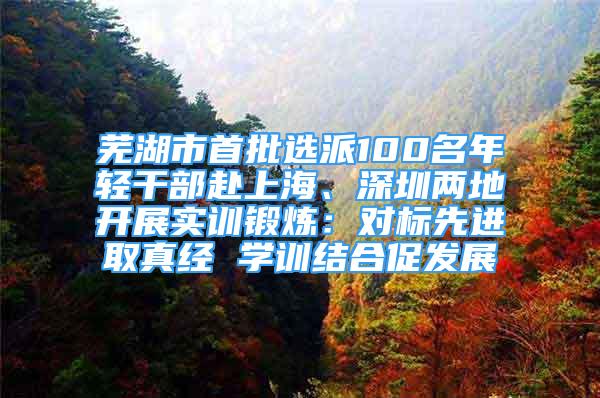 蕪湖市首批選派100名年輕干部赴上海、深圳兩地開展實(shí)訓(xùn)鍛煉：對(duì)標(biāo)先進(jìn)取真經(jīng) 學(xué)訓(xùn)結(jié)合促發(fā)展