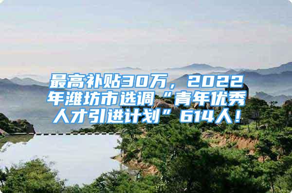 最高補貼30萬，2022年濰坊市選調“青年優(yōu)秀人才引進計劃”614人！