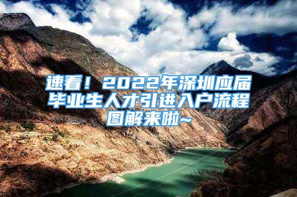 速看！2022年深圳應(yīng)屆畢業(yè)生人才引進(jìn)入戶流程圖解來啦~