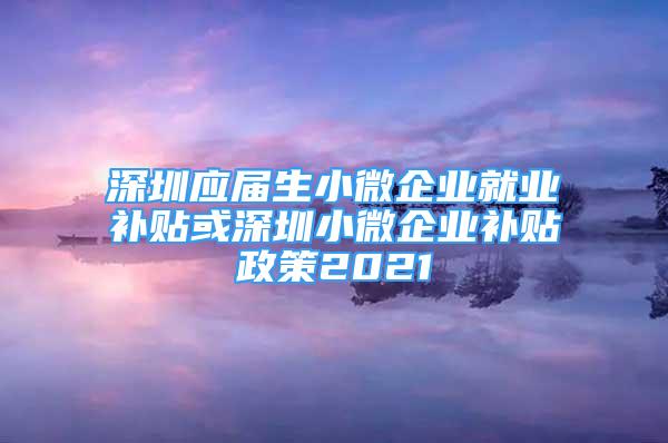 深圳應屆生小微企業(yè)就業(yè)補貼或深圳小微企業(yè)補貼政策2021