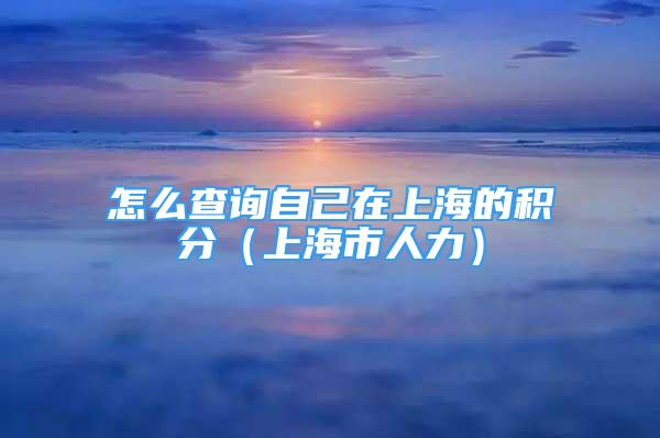 怎么查詢自己在上海的積分（上海市人力）