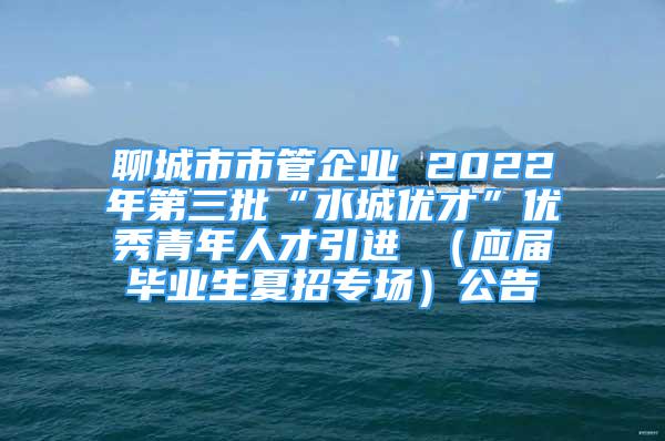 聊城市市管企業(yè) 2022年第三批“水城優(yōu)才”優(yōu)秀青年人才引進 （應(yīng)屆畢業(yè)生夏招專場）公告