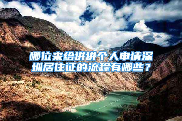 哪位來給講講個人申請深圳居住證的流程有哪些？