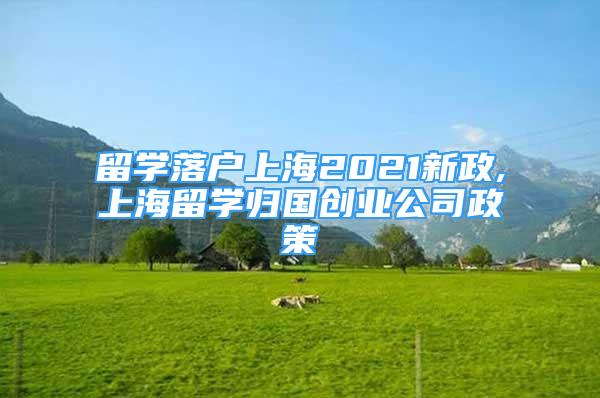 留學落戶上海2021新政,上海留學歸國創(chuàng)業(yè)公司政策